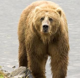 Maya Chen profile photo