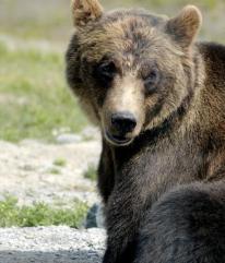 Leo Anders profile photo