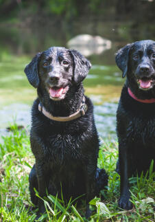 Jonas Richter profile photo