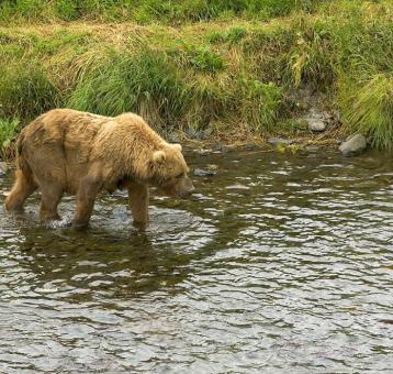 Leo Anders profile photo
