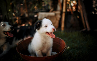 Jonas Richter profile photo