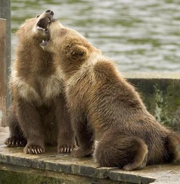 Alex Martinez avatar