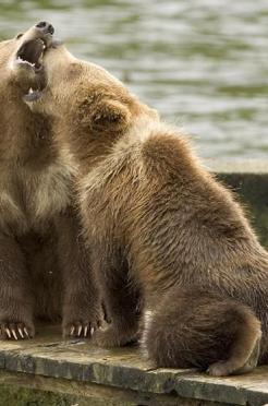 Jonas Richter profile photo