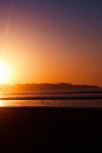 Alex Martinez avatar