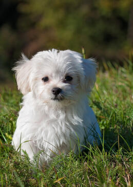 Alex Martinez avatar