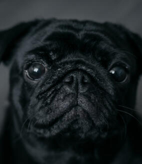 Alex Martinez avatar