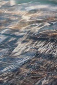 Jonas Richter profile photo