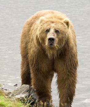 Leo Anders profile photo