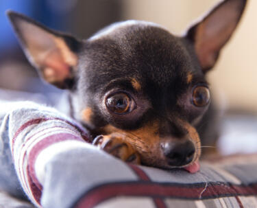 Alex Martinez avatar