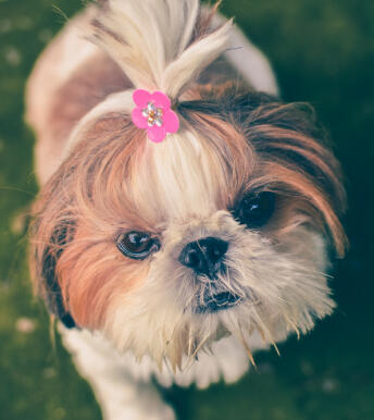 Alex Martinez avatar