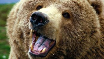 Maya Chen profile photo