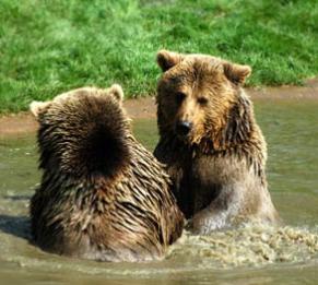 Leo Anders profile photo