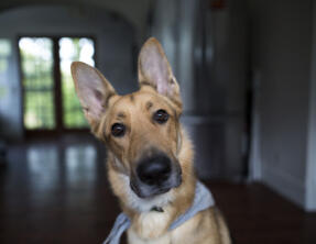 Maya Chen profile photo